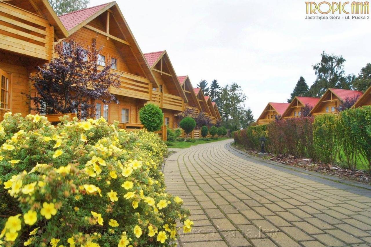 Tropicana Ϫϫ Jastrzębia Góra Dış mekan fotoğraf