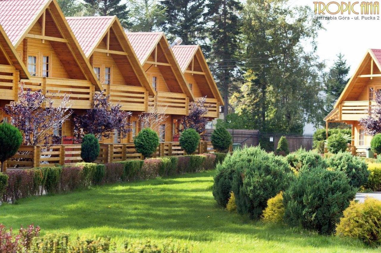 Tropicana Ϫϫ Jastrzębia Góra Dış mekan fotoğraf