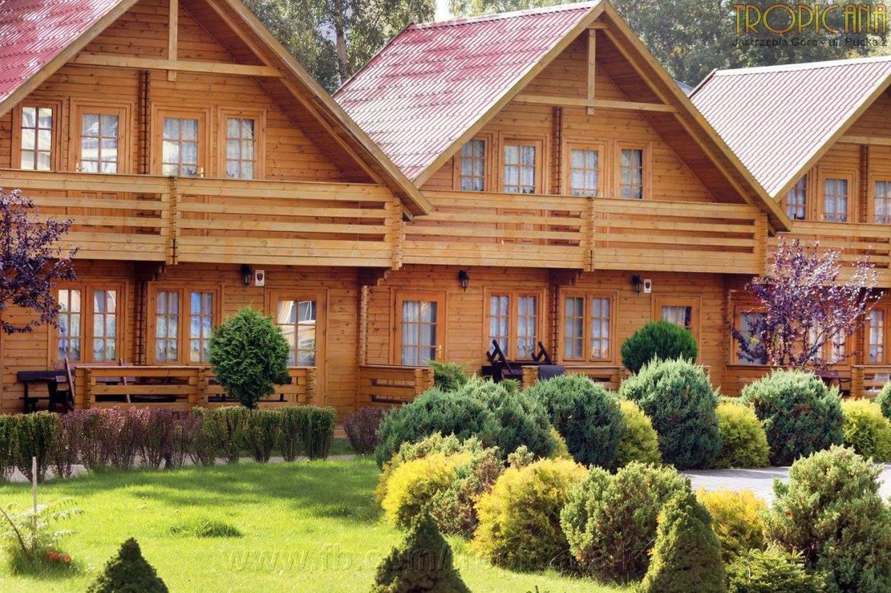 Tropicana Ϫϫ Jastrzębia Góra Dış mekan fotoğraf
